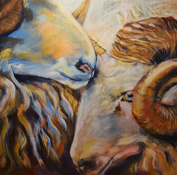 Let's stick together | acrylic painting of two Icelandic rams by Bertha Kvaran