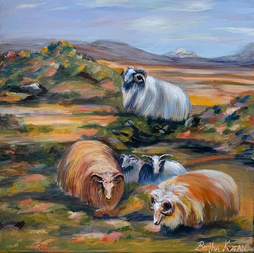 Icelandic Sheep | Acrylic painting by Bertha Kvaran