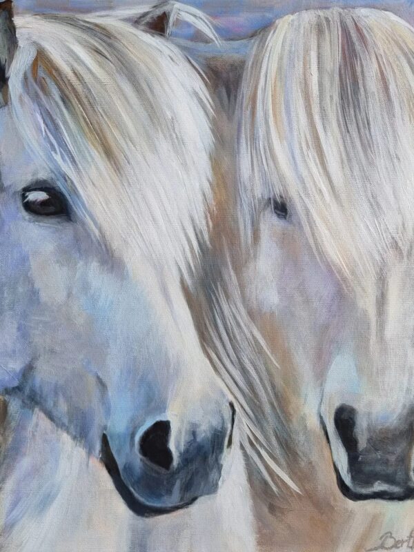 Snædís and Vordís, painting of two Icelandic mares by Bertha Kvaran