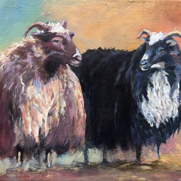 Ljúfa and Skoppa, portrait painting of two Icelandic Sheep