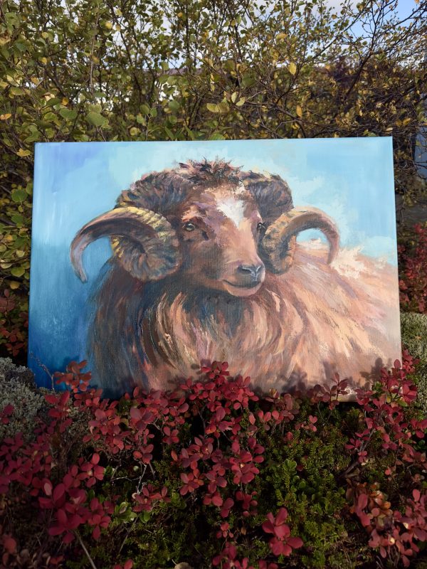 Móri, the ram, oil painting by Bertha Kvaran