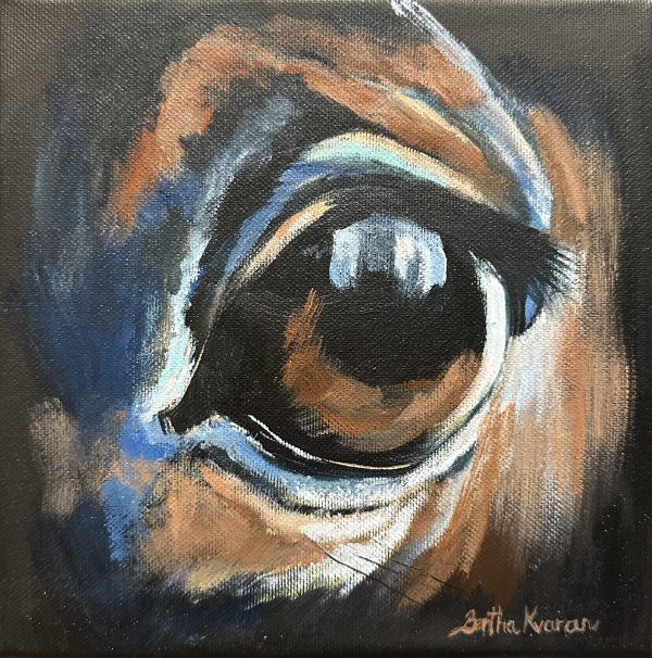 Gazing horses eye, painting by Bertha Kvaran