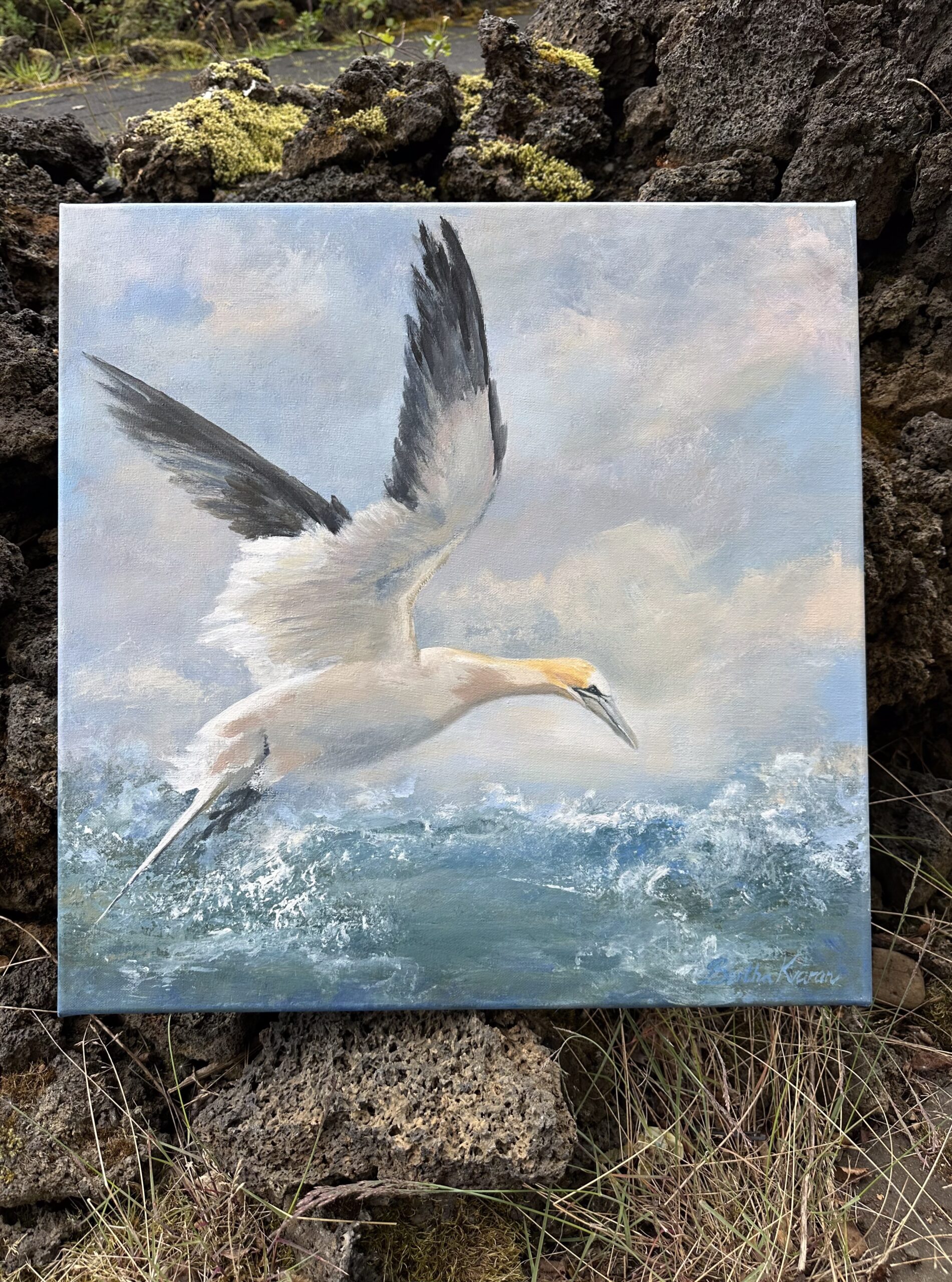 Úrsúla, a painting of a northern Gannet by Bertha Kvaran ART