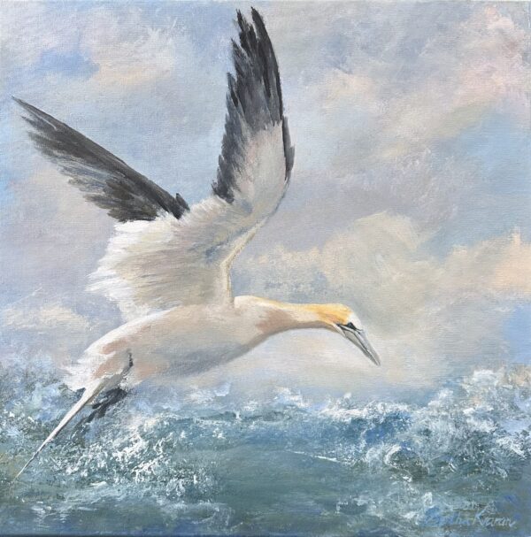Úrsúla, a painting of a northern Gannet by Bertha Kvaran ART