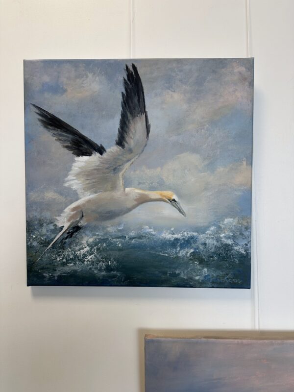 Úrsúla, a painting of a northern Gannet by Bertha Kvaran ART