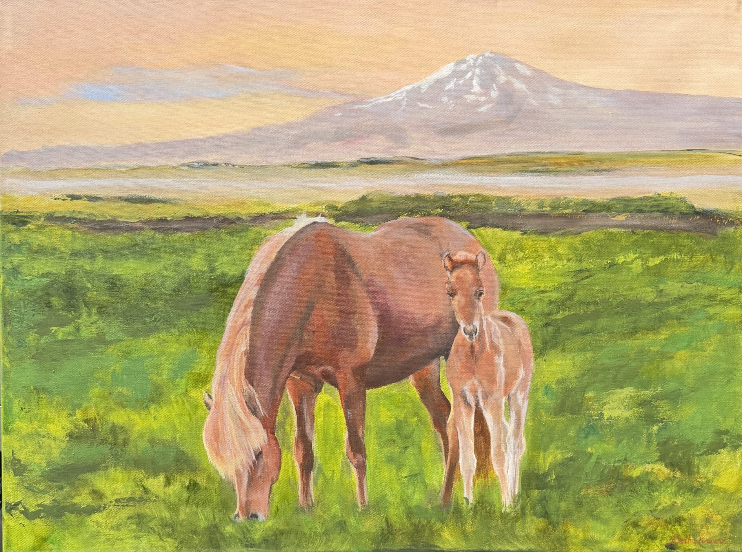 Miðnætur sól, painting of a mare with her foal in the midnight sun in Iceland with the volcano Hekla in the background, painted by Bertha Kvaran